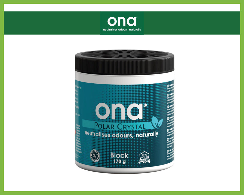 ONA Block Polar Crystal (170g)