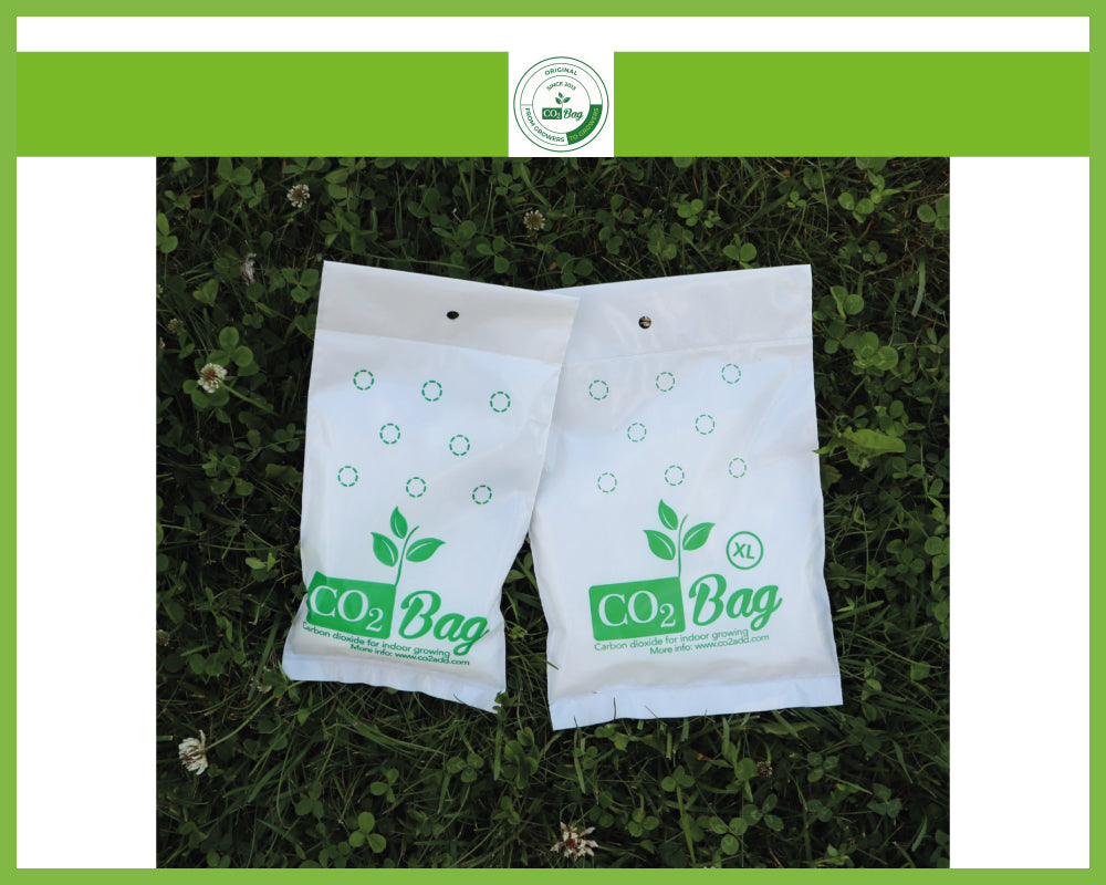 CO2 Bag Kohlendioxid-Tüte XL