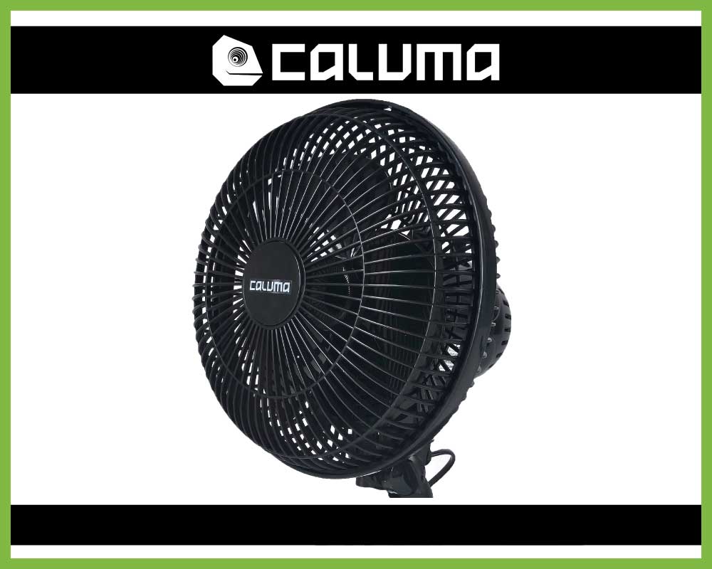 Caluma 20W Ø15cm Ventilator - oszillierend - extra langes Kabel