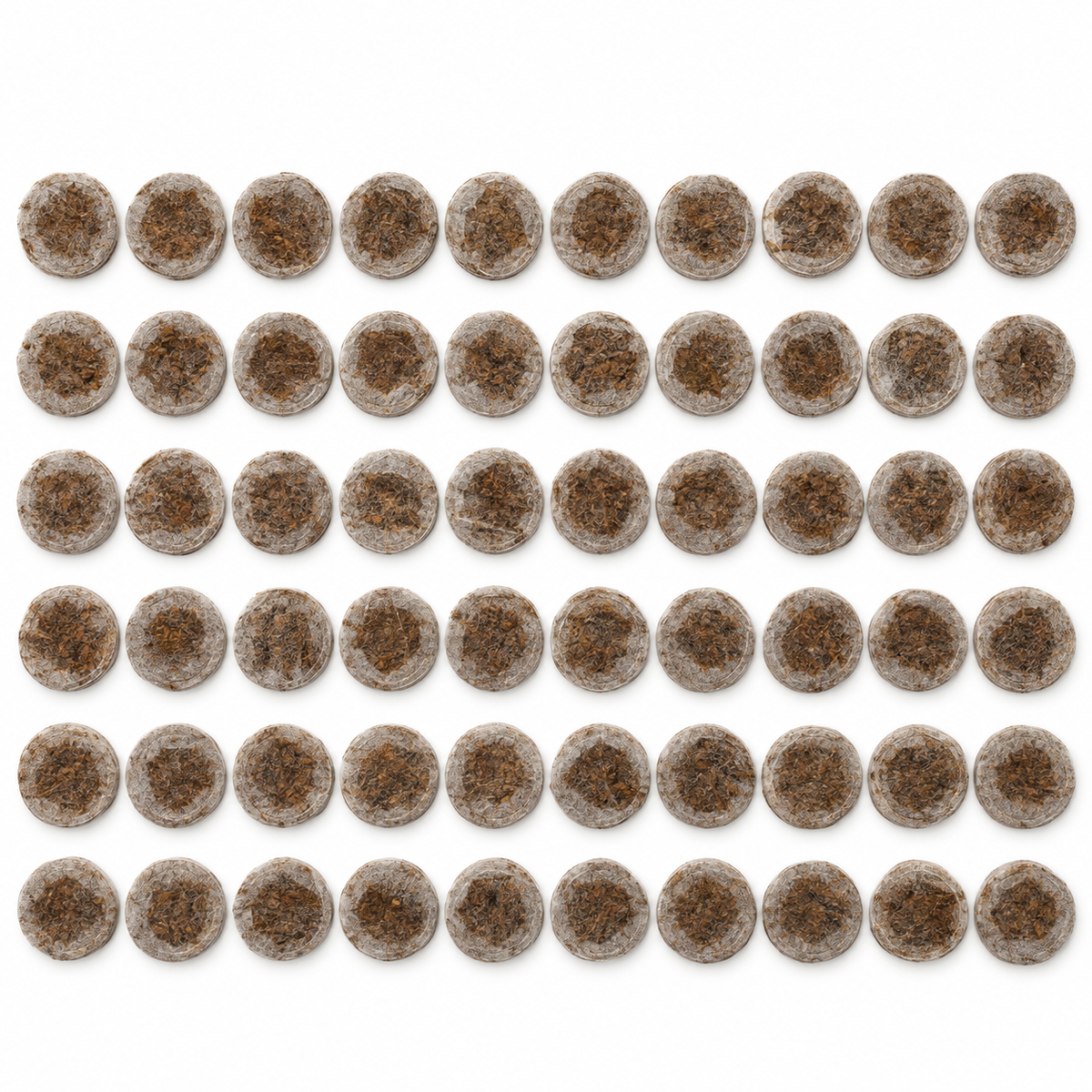 Jiffy Quelltabletten 39 mm – 50 Stück