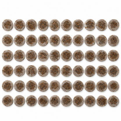Jiffy Quelltabletten 39 mm – 50 Stück